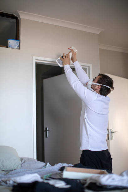  Appomattox, VA Mold Removal Pros
